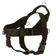 Nylon English Pointer Harness with Patches