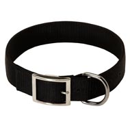 2 Ply Nylon English Pointer Collar