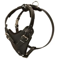 Protection Leather English Pointer Harness for Attack / Agitation Dog Training