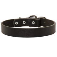 English Pointer Leather Dog Collar For Pleasant Wearing