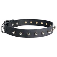 English Pointer Leather Collar Spiked 30 mm