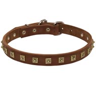 Handcrafted 1 Row Square Studded Leather English Pointer Collar