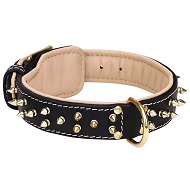 Royal Leather English Pointer Collar Spiked Padded with Nappa Leather