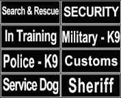 English Pointer Identification Patches