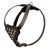 Designer Leather English Pointer Harness with Adjustable Straps for Puppy Walking and Training