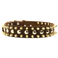Spiked and Studded English Pointer Leather Collar