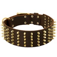 Wide Spiked Leather English Pointer Collar