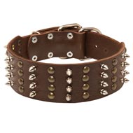 Extra Wide Leather Spiked and Studded English Pointer Collar
