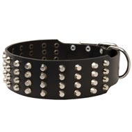 Extra Wide 4 Rows Studded Leather English Pointer Collar