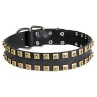 2 Rows Brass Studded Leather English Pointer Collar for Walking and Training
