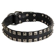 New Leather English Pointer Collar - Fashion Exclusive Design - "Caterpillar"