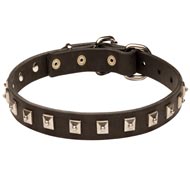 English Pointer Leather Collar Caterpillar Design