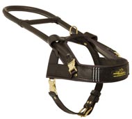 Guide and Assistance Leather English Pointer Harness