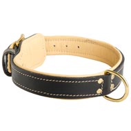 Padded Leather English Pointer Collar