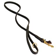 Handcrafted Leather English Pointer Leash for Walking and Tracking