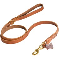 Walking and Training Leather English Pointer Leash with Comfy Handle