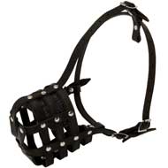 Walking and Training Leather Cage English Pointer Muzzle