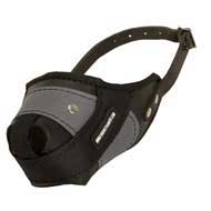 Protection Training English Pointer Muzzle Made of Nylon and Leather