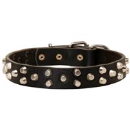 Fancy Design Leather English Pointer Collar with Nickel Pyramids