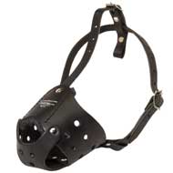 Everyday Leather English Pointer Muzzle for Training