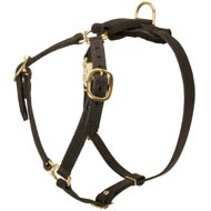 Y-Shaped Leather English Pointer Harness for Tracking and Training