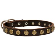Leather English Pointer Collar with Brass Dotted Circles for Fashion Walking