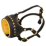 Open Nose Studded Leather English Pointer Muzzle With Nappa Padding