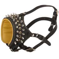 Royal Spiked and Studded Leather English Pointer Muzzle
