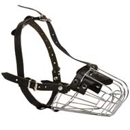 Wire Basket English Pointer Muzzle for Comfortable Walking and Training