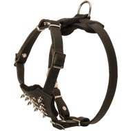 Durable Spiked Leather Puppy English Pointer Harness