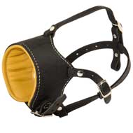 Snout Short Leather English Pointer Muzzle Padded with Nappa Leather
