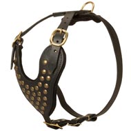 Adjustable Studded Leather English Pointer Harness for Fashion Walking