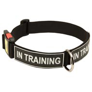 All Weather Nylon English Pointer Collar with ID Patches