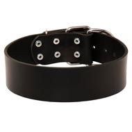 Extra Wide Leather English Pointer Collar for Professional Training