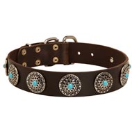 Leather English Pointer Collar with Blue Stones for Stylish Walking