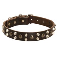Leather English Pointer Collar With Studs and Pyramids