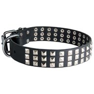 Leather English Pointer Collar with 3 Rows of Nickel Pyramids