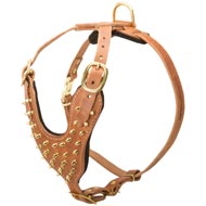 Brass Spiked Leather English Pointer Harness for Fashion Walking
