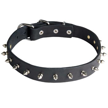 English Pointer Dog Leather Collar Steel Nickel Plates Spikes