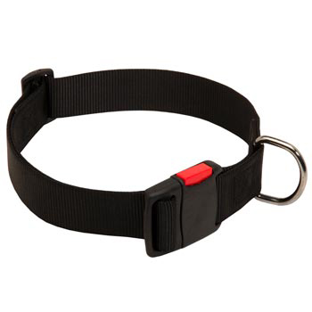 Nylon English Pointer Collar for Training and Waling