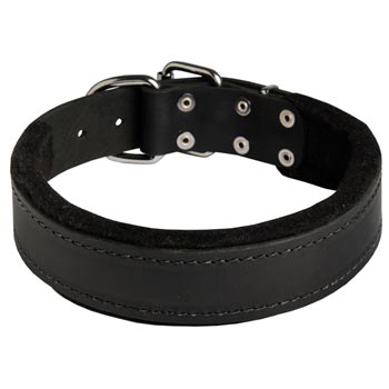 Adjustable English Pointer Collar