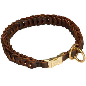 English Pointer Leather Collar Braided Design