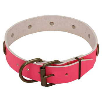 Fashion Pink Leather English Pointer Collar