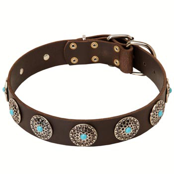 Leather English Pointer Collar