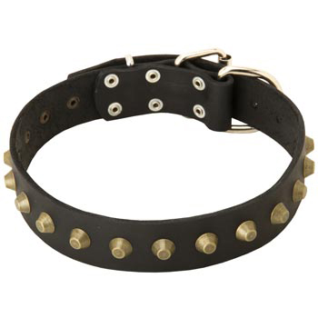 Leather English Pointer Collar