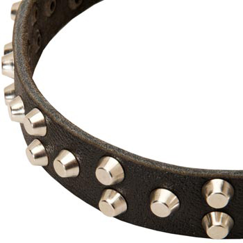 Leather English Pointer Collar Durable Stud Decorated