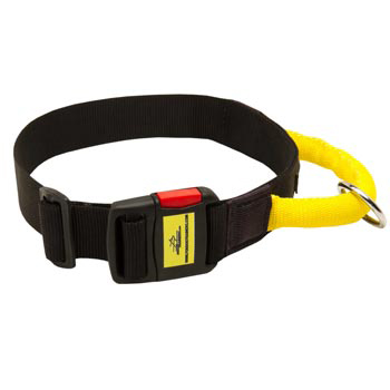 Nylon English Pointer Collar with Quick Release Buckle