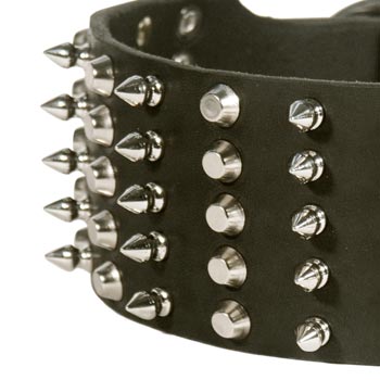  Leather Wide Dog Collar for English Pointer