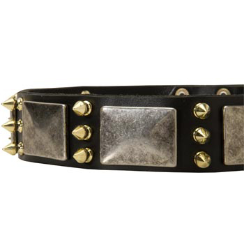 Stylish Leather Dog Collar for English Pointer