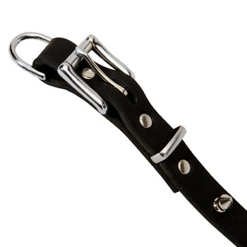 English Pointer Dog Leather Collar Rust-proof Spikes